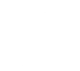 UEFA Champions League